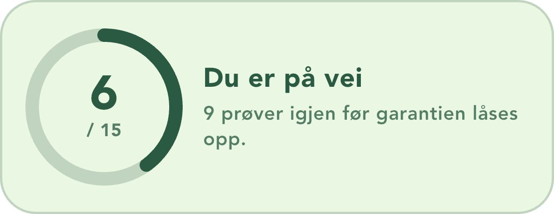 Fremgangen mot beståttgarantien i appen, 6 av 15 prøver