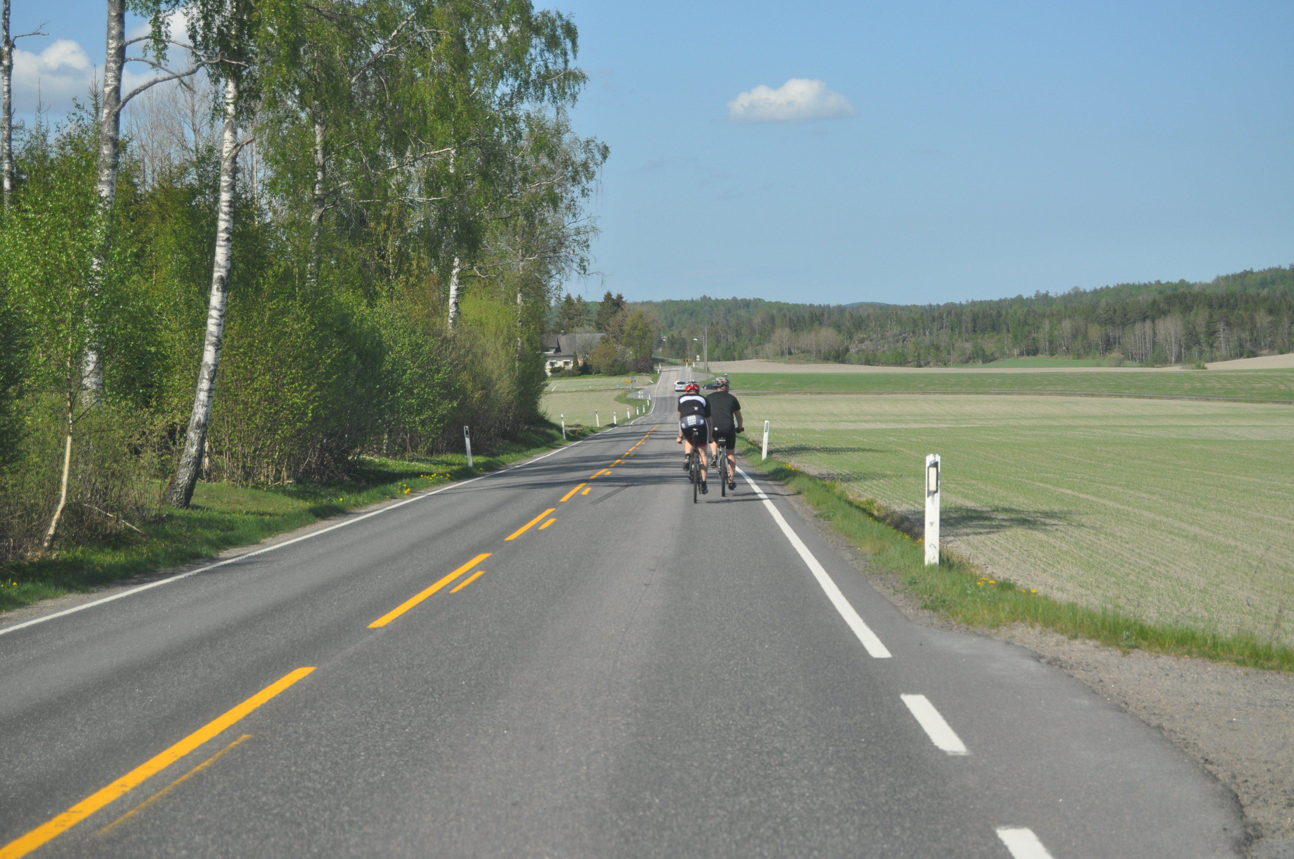 Kombinerte linjer