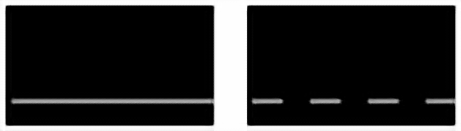 Edge line