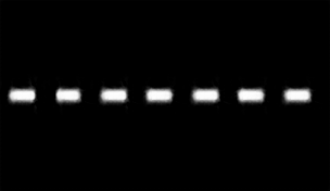 Separation line