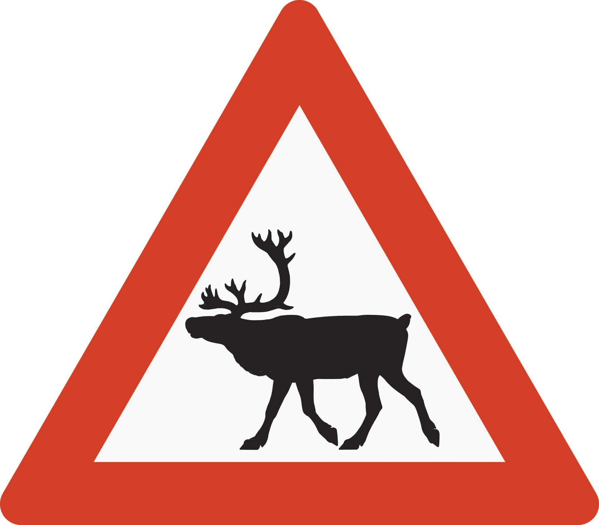 Risk of reindeer