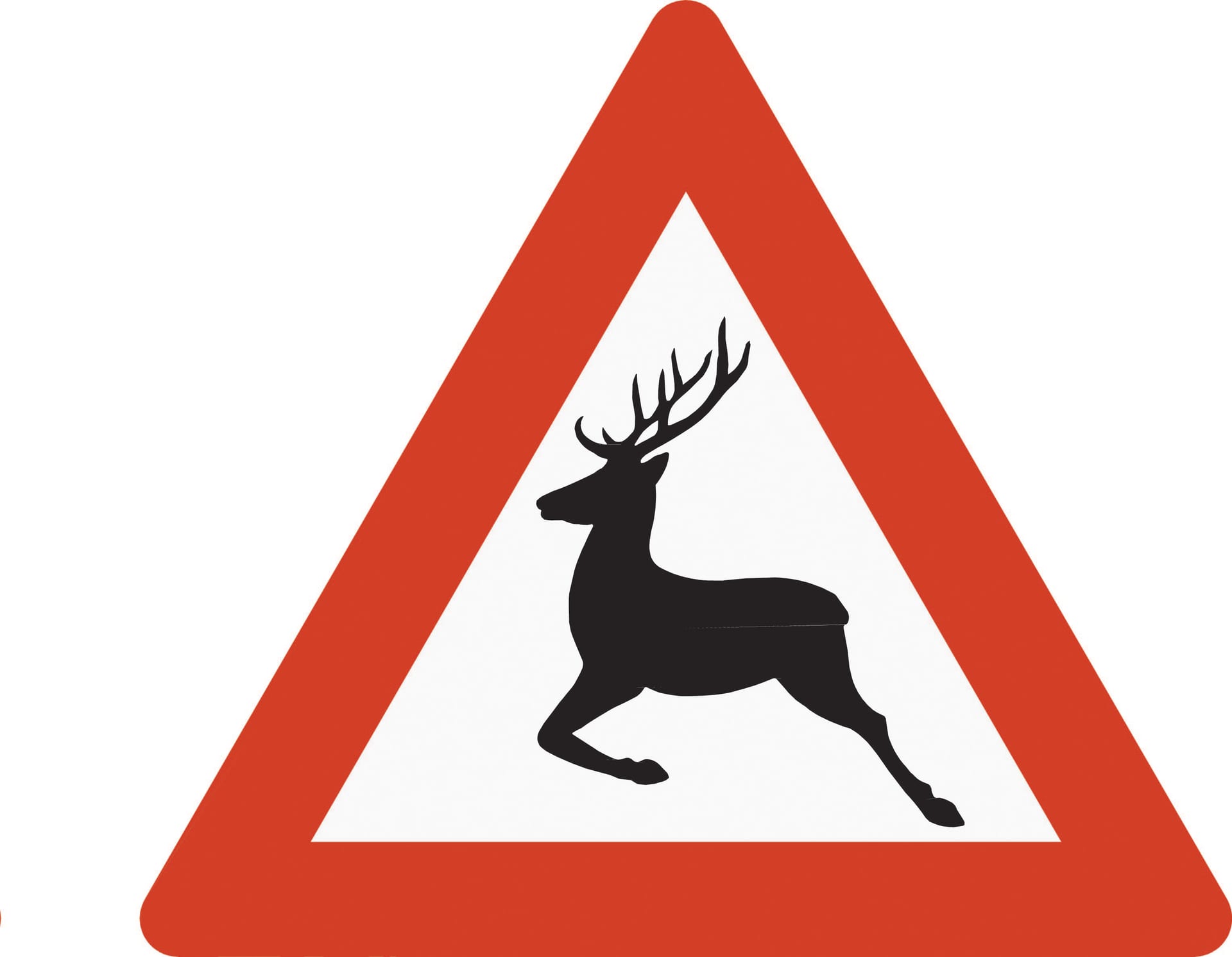 Risk of deer