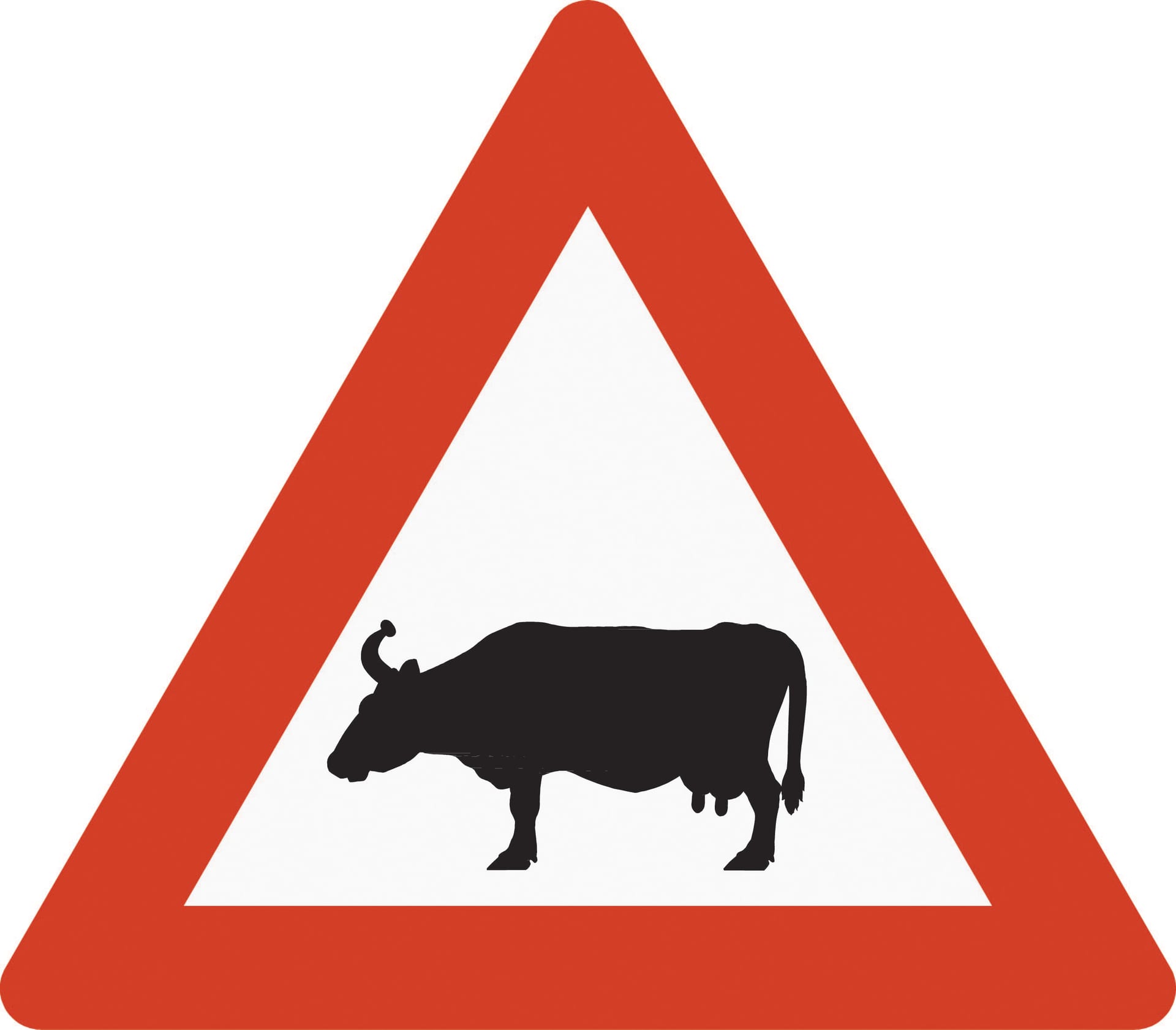 Risk of cattle