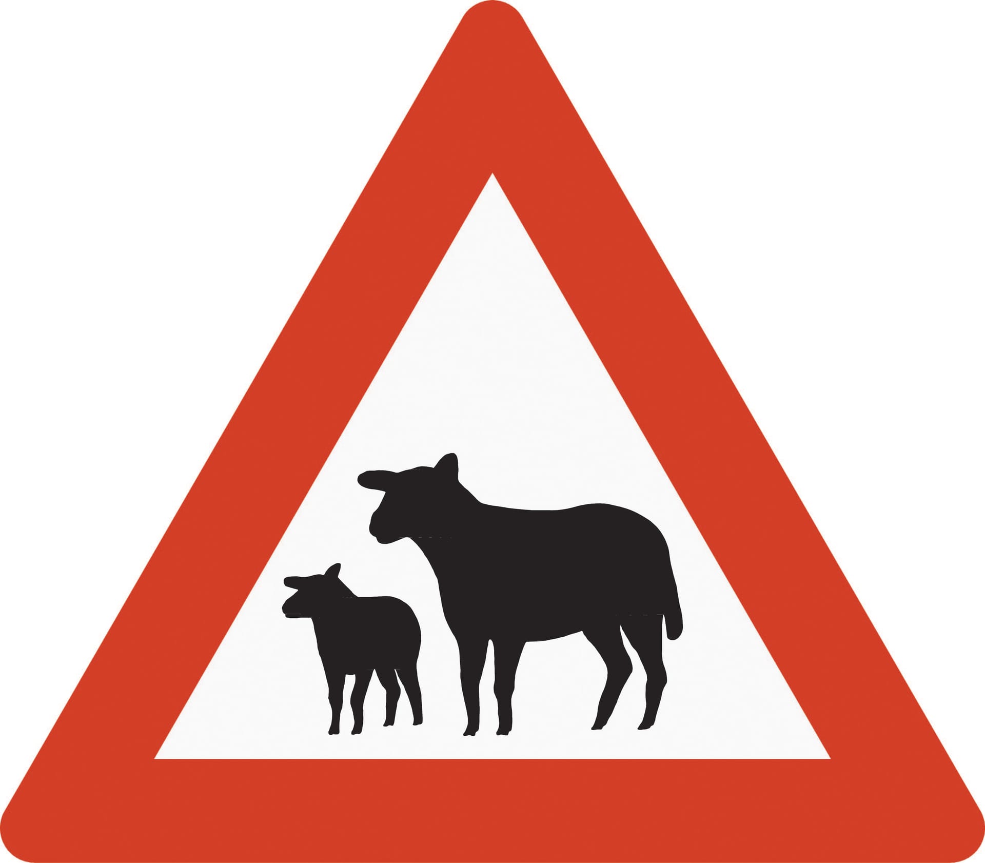 Risk of sheep